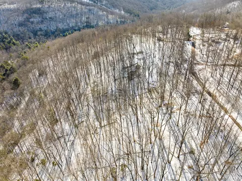 245 Ski View Dr, Dunlap, TN 37327 photo 2