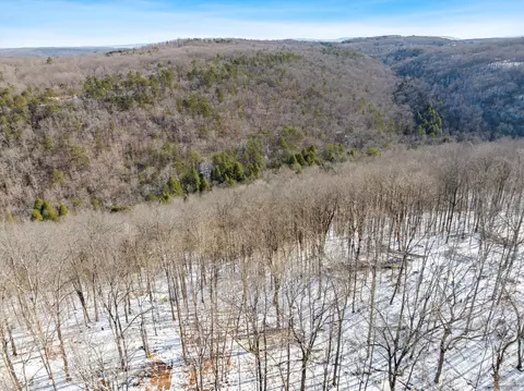 245 Ski View Dr, Dunlap, TN 37327 photo 3