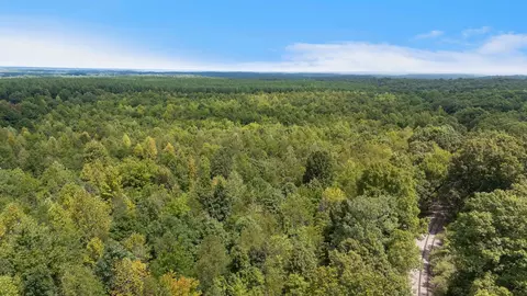2820 Skyview Dr, Centerville, TN 37033 photo 61