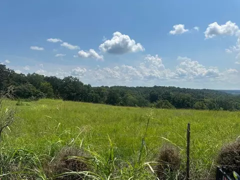0 Lylewood, Indian Mound, TN 37079