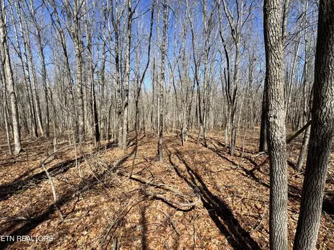 0 Veterans Lookout, Wilder, TN 38589
