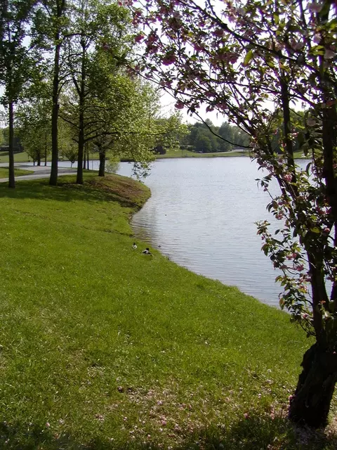 304 E Overhill Dr, Dickson, TN 37055 photo 6