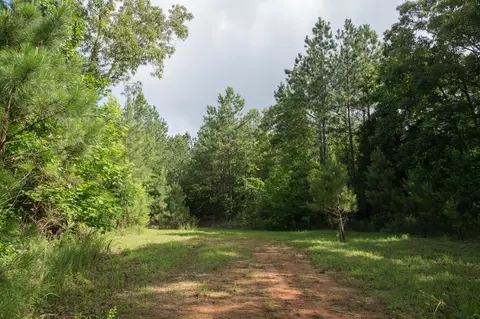 0 Old State Hwy 69, Sugar Tree, TN 38380