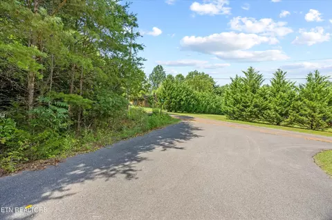 3 Peachie Way, Cosby, TN 37722