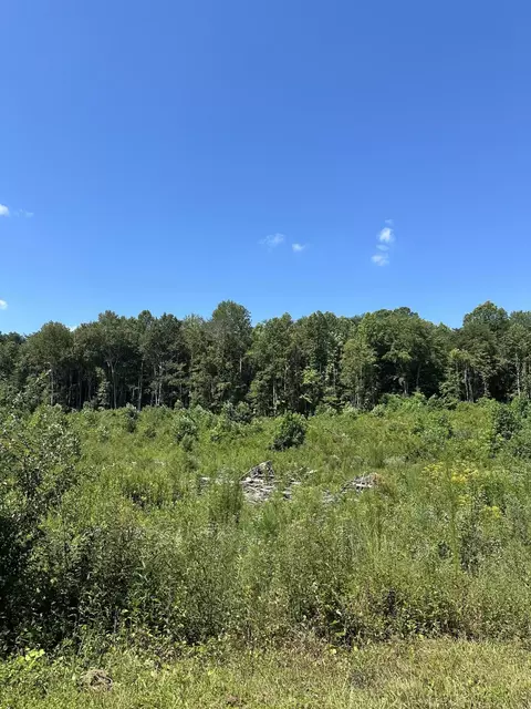 12 Dykes Hollow Rd, Tracy City, TN 37387