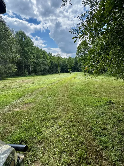 320 Durid Ln, Paris, TN 38242