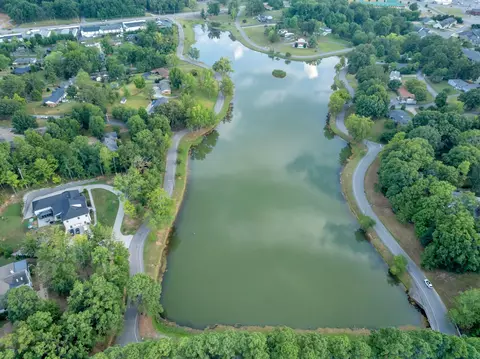 View/Area - 300 E Lake Dr, Dickson, TN 37055 photo 5 of 7