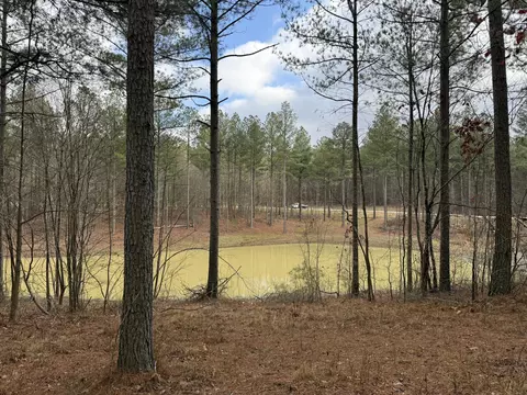 0 Farm Rd #1051, Guild, TN 37340
