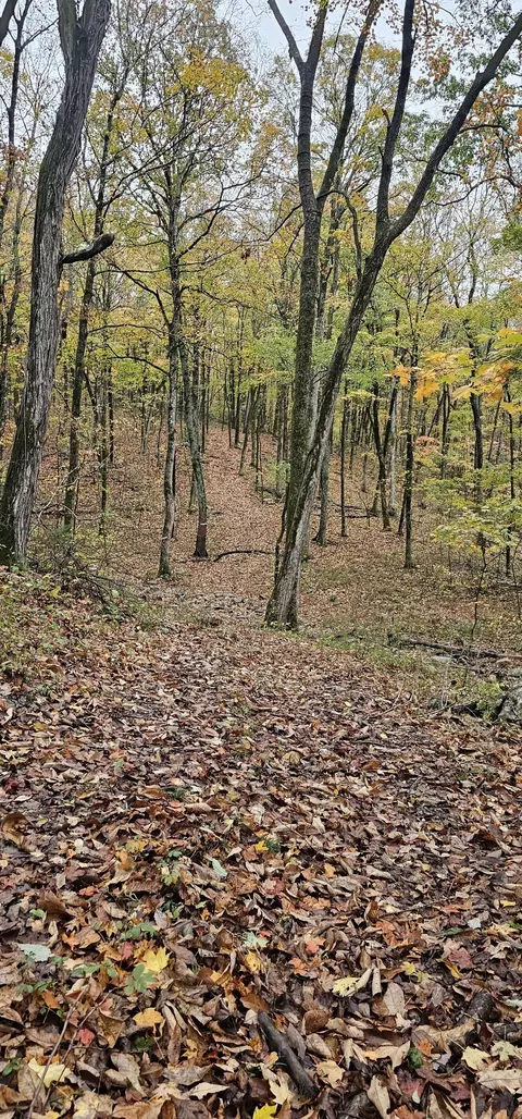 0 Hills Trace Rd, Morrison, TN 37357 photo 11