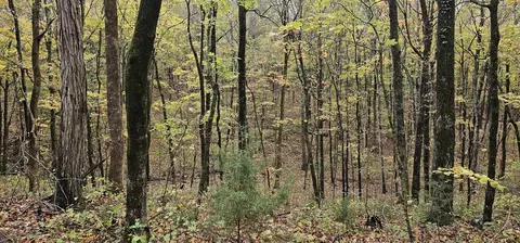 0 Hills Trace Rd, Morrison, TN 37357