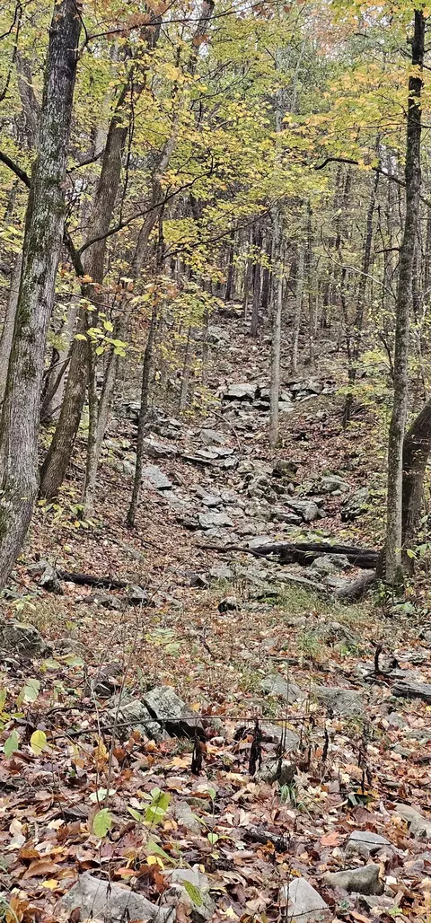 0 Hills Trace Rd, Morrison, TN 37357 photo 10