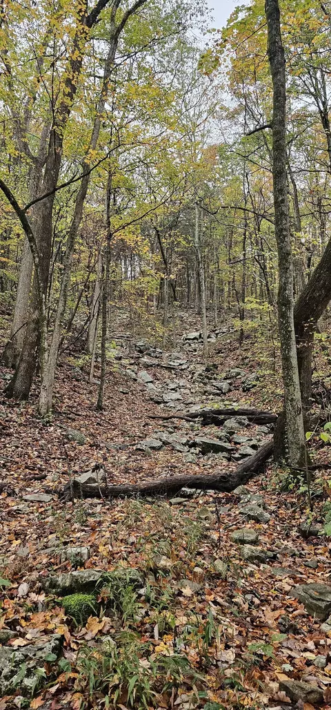 0 Hills Trace Rd, Morrison, TN 37357 photo 6