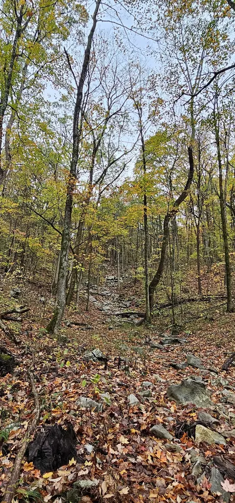 0 Hills Trace Rd, Morrison, TN 37357 photo 7