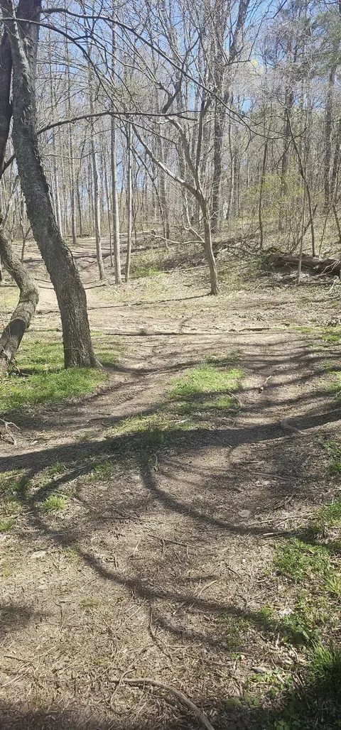 0 Hills Trace Rd, Morrison, TN 37357 photo 2