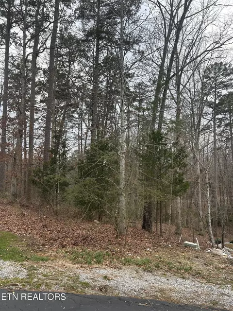 108 Vinita Way, Loudon, TN 37774