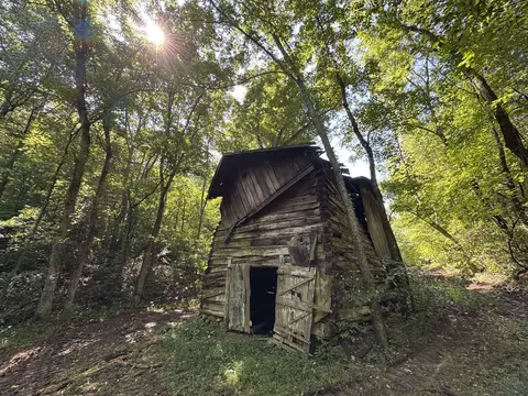 4 Lyle Hollow Rd, Palmyra, TN 37142