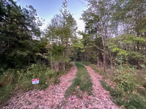 3 Lyle Hollow Rd, Palmyra, TN 37142
