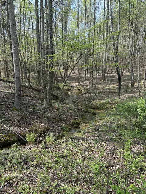 0 Elmore Town Rd, Baxter, TN 38544 photo 6