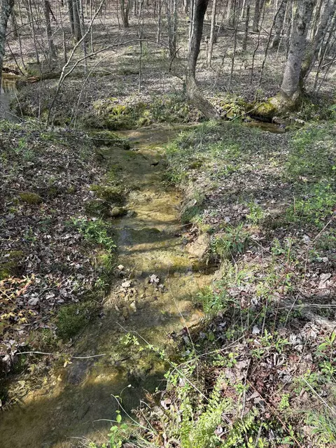 0 Elmore Town Rd, Baxter, TN 38544 photo 3