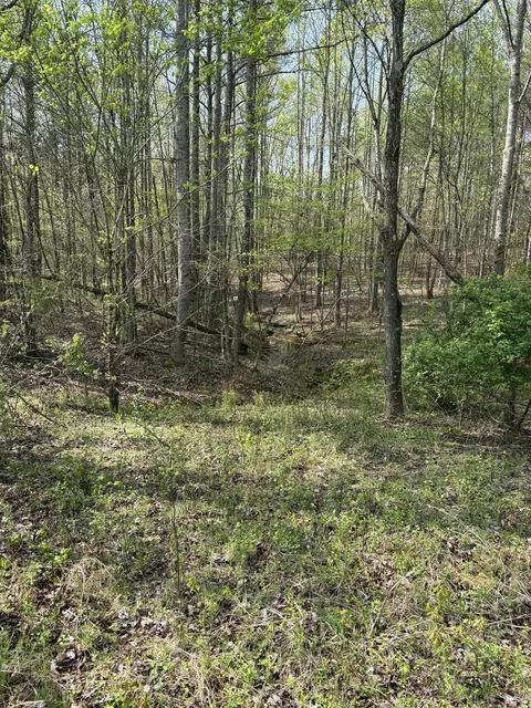 0 Elmore Town Rd, Baxter, TN 38544 photo 7