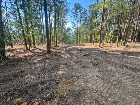 0 Richard Dorning Rd, Hohenwald, TN 38462