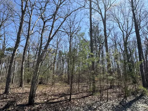0 W Bluff Rd, Pikeville, TN 37367