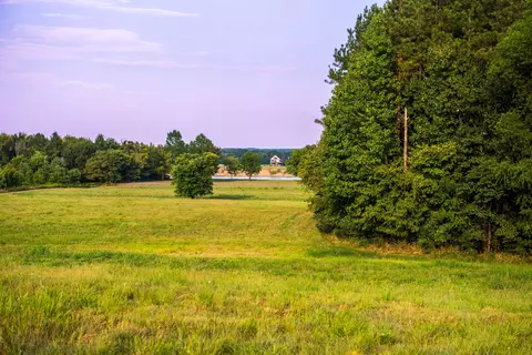 View/Area - 0 Leath Rd, Counce, TN 38326 photo 16 of 17