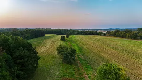 Other - 0 Leath Rd, Counce, TN 38326 photo 18 of 25