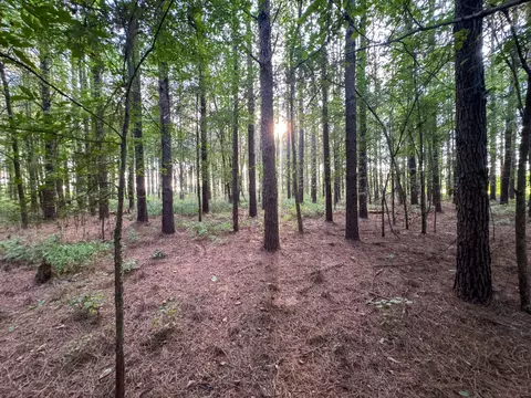 Other - 0 Leath Rd, Counce, TN 38326 photo 10 of 25