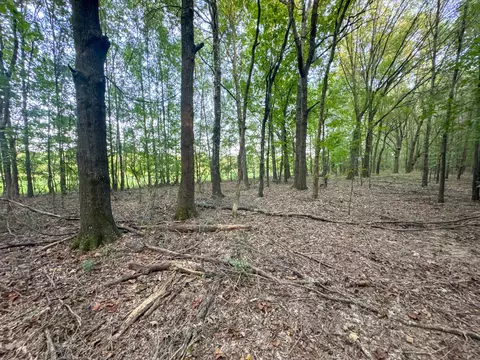 Other - 0 Leath Rd, Counce, TN 38326 photo 23 of 25