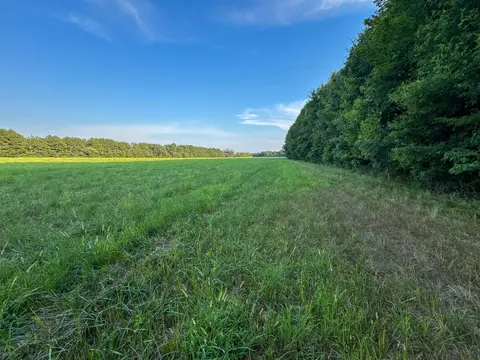 Other - 0 Leath Rd, Counce, TN 38326 photo 17 of 25