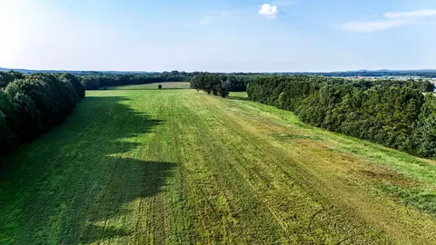 Other - 0 Leath Rd, Counce, TN 38326 photo 12 of 25