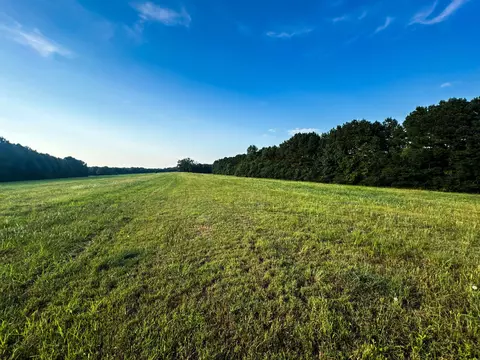 Other - 0 Leath Rd, Counce, TN 38326 photo 16 of 25