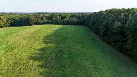 Other - 0 Leath Rd, Counce, TN 38326 photo 11 of 25