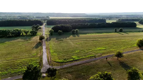 View/Area - 0 Leath Rd, Counce, TN 38326 photo 12 of 17