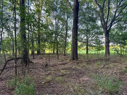 Exterior - 0 Leath Rd, Counce, TN 38326 photo 8 of 8