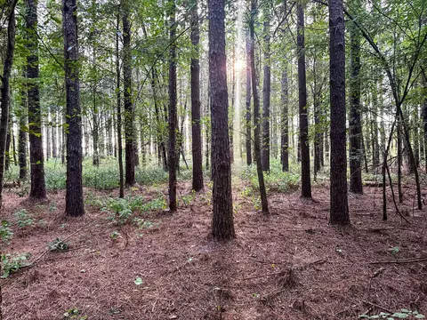 Other - 0 Leath Rd, Counce, TN 38326 photo 25 of 25