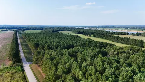 View/Area - 0 Leath Rd, Counce, TN 38326 photo 7 of 17