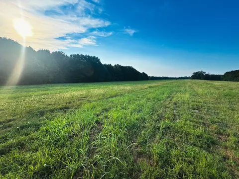 Other - 0 Leath Rd, Counce, TN 38326 photo 15 of 25