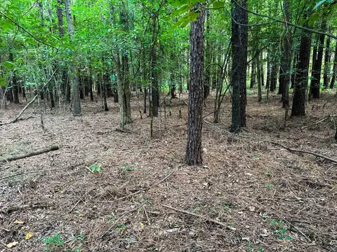 Other - 0 Leath Rd, Counce, TN 38326 photo 21 of 25