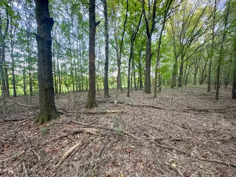 Other - 0 Leath Rd, Counce, TN 38326 photo 22 of 25