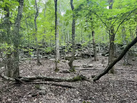 0 Sewanee Summit Rd, Decherd, TN 37324 photo 3
