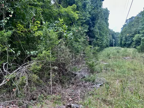 0 Sewanee Summit Rd, Decherd, TN 37324 photo 2