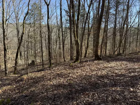 0 Davis Hollow Rd, Waynesboro, TN 38485