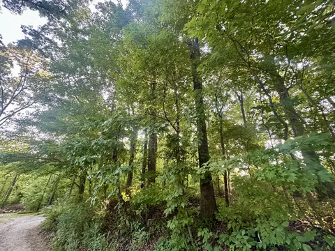 1 Reed Strickland Ln, Spring City, TN 37381