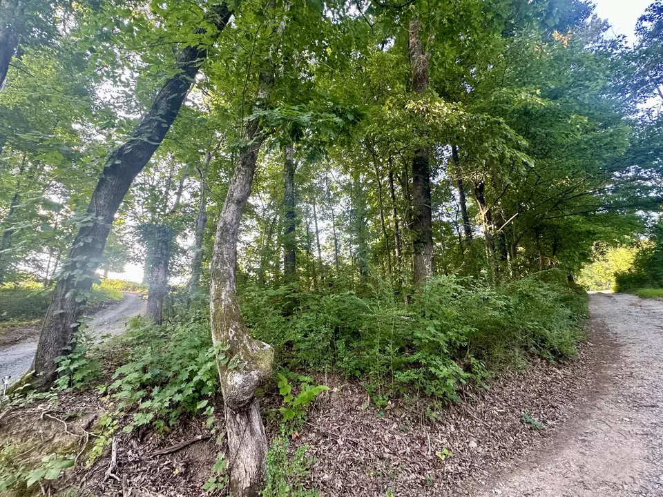 1 Reed Strickland Ln, Spring City, TN 37381 photo 7