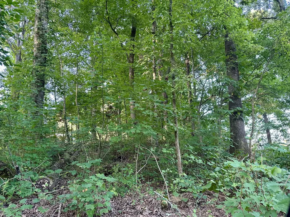  1 Reed Strickland Ln, Spring City, TN 37381 photo 3