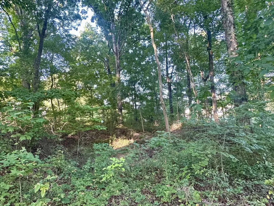  1 Reed Strickland Ln, Spring City, TN 37381 photo 4