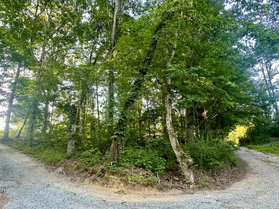  1 Reed Strickland Ln, Spring City, TN 37381 photo 5