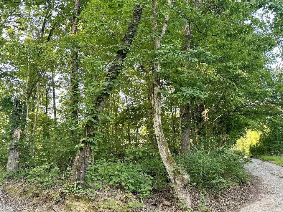  1 Reed Strickland Ln, Spring City, TN 37381 photo 6